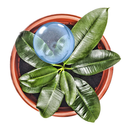 Watering balls - set of 5