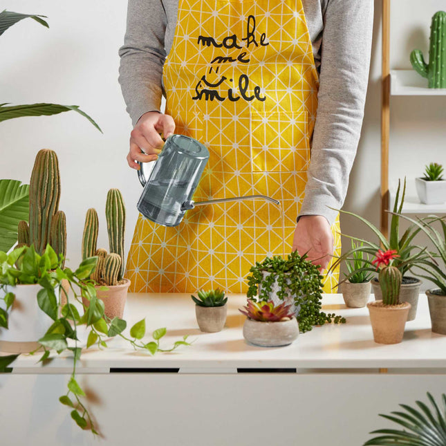 Watering can for potted plants 1 liter