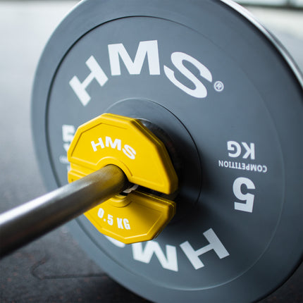 Weight Plate 2 x 0.5 kg for Strength Training
