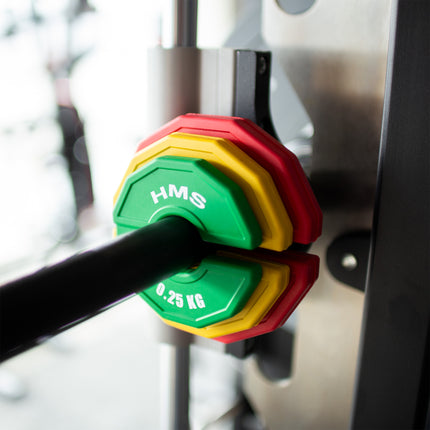 Weight Plate for Strength Training, 0.25 kg, Set of 2