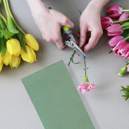 Wet Floral Foam, Pack of 3