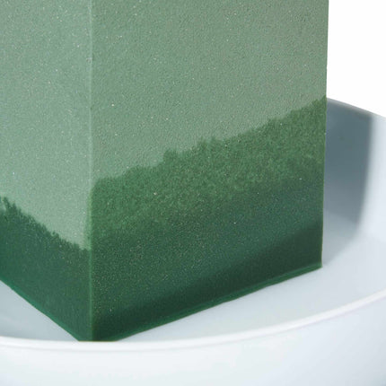 Wet Floral Foam, Pack of 3