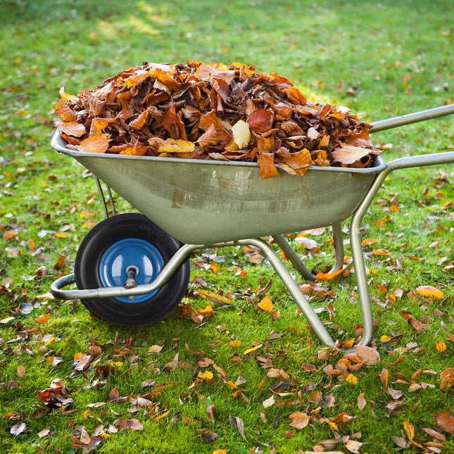 Wheel for wheelbarrow 4.80 4.00-8 blue rim