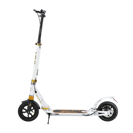 White-Gold Kick Scooter, Adjustable Height