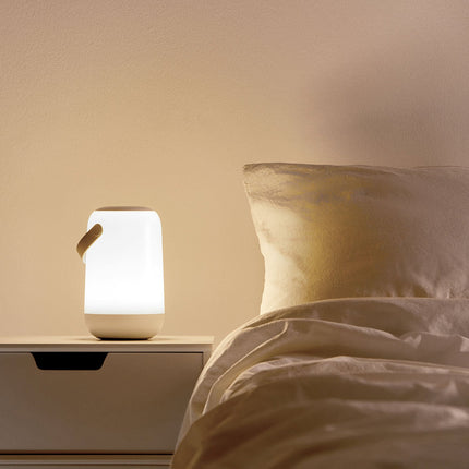 WiFi Portable lamp