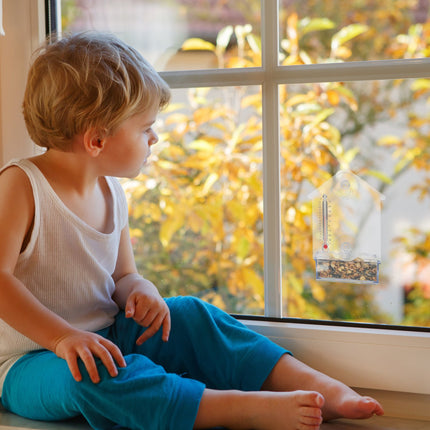 Window Bird Feeder with Thermometer, Suction Cups