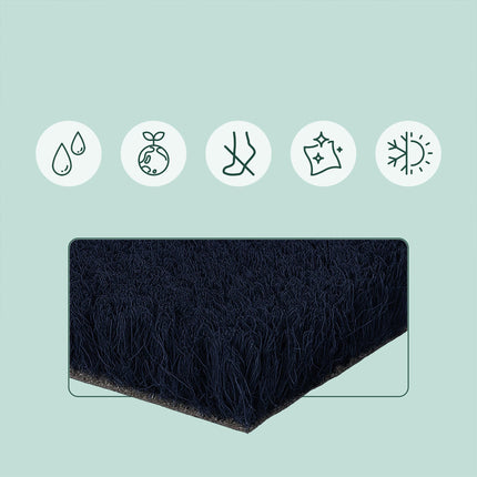 Winter Coconut Doormat, Non-Slip, 60x40 cm
