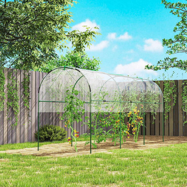 Winter-Proof Greenhouse with Arched Roof, 400x123x171 cm