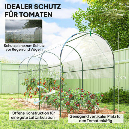 Winter-Proof Greenhouse with Arched Roof, 400x123x171 cm