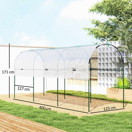 Winter-Proof Greenhouse with Arched Roof, 400x123x171 cm