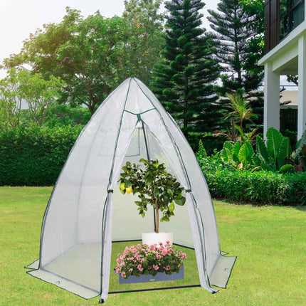 Wintering tent for plants