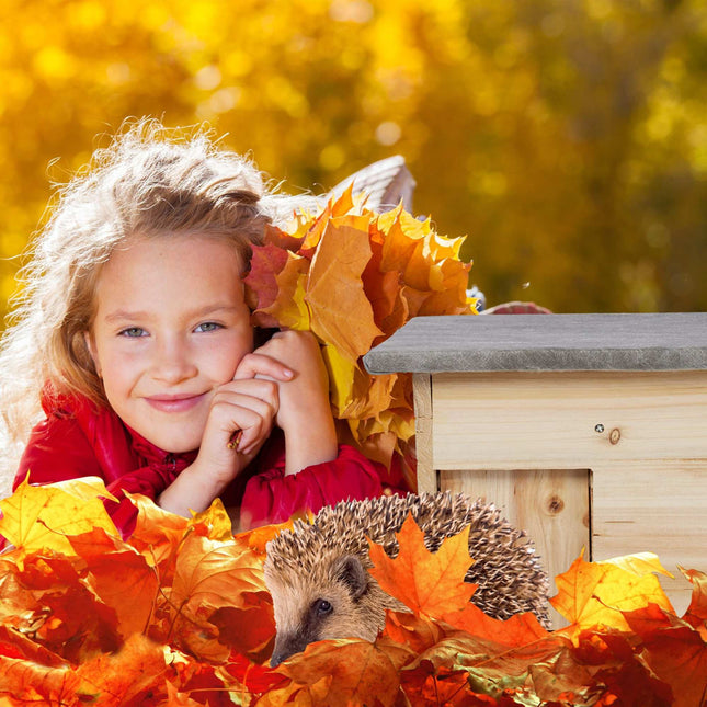 Winter-proof hedgehog house as a kit