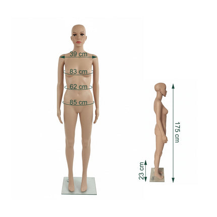 Women's Mannequin with Stand – Movable Arms, Glass Base