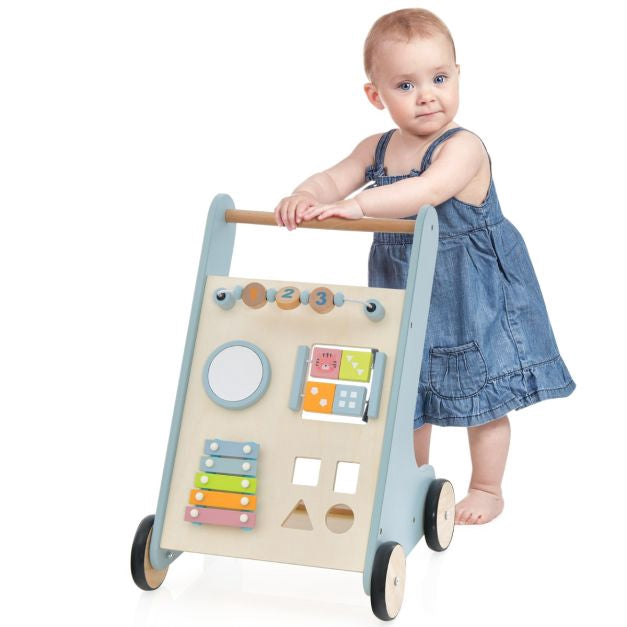 Wooden Baby Push Walker With Xylophone, Flip Blocks, Blue