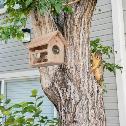 Wooden bird feeder