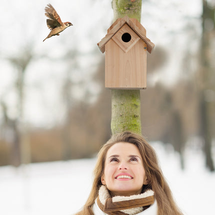 Wooden birdhouse
