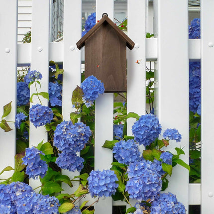 Wooden ladybug house