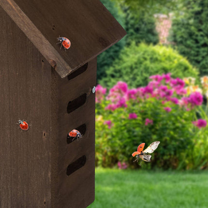 Wooden ladybug house