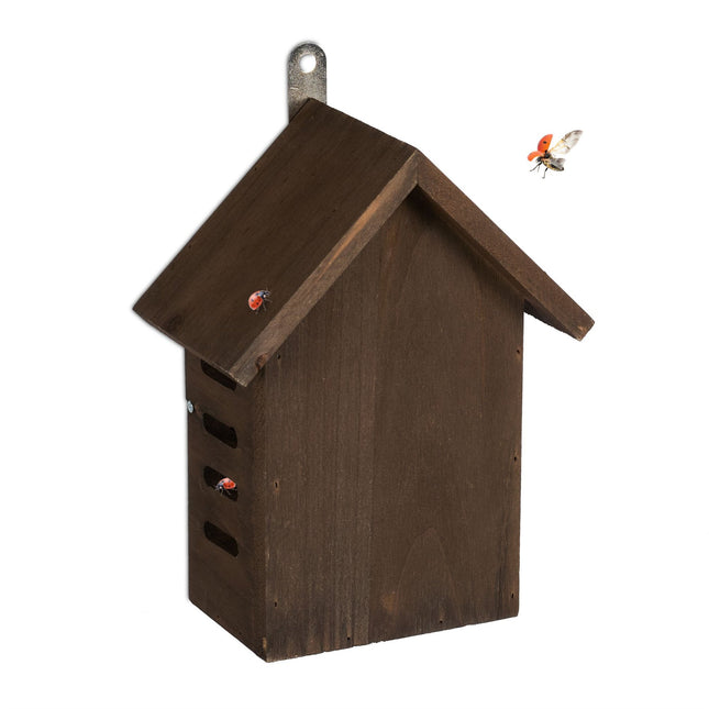 Wooden ladybug house
