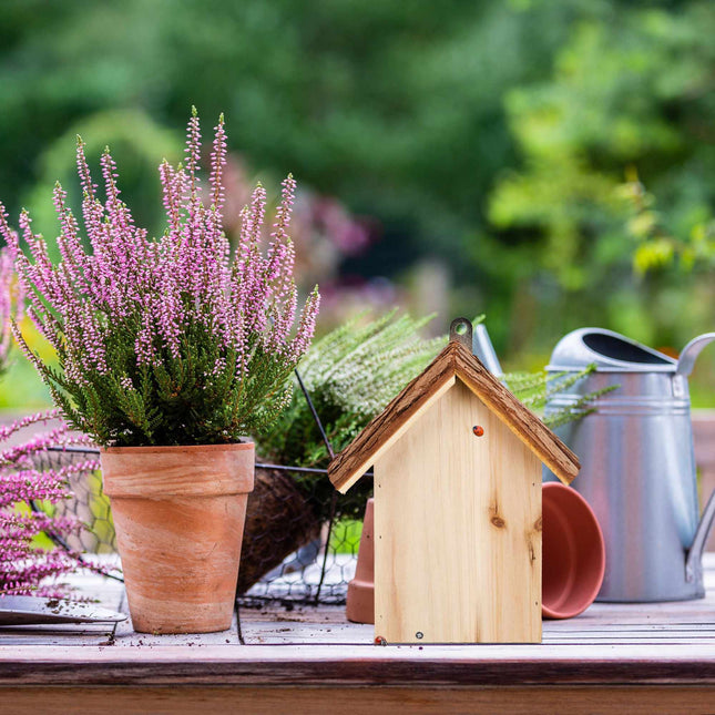Wooden ladybug house