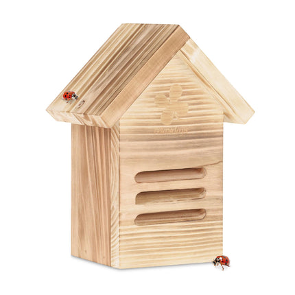 Wooden ladybug house