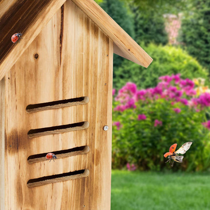 Wooden ladybug house with flames