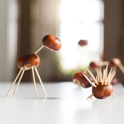 Wooden toothpicks, set of 8000