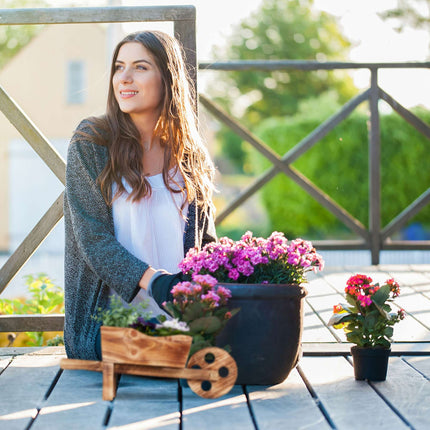 Wooden wheelbarrow for plants