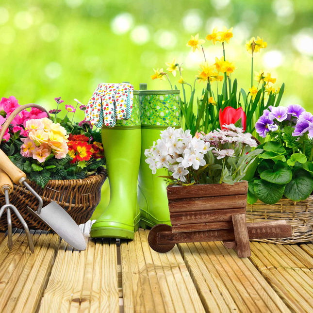 Wooden wheelbarrow for plants - set of 2