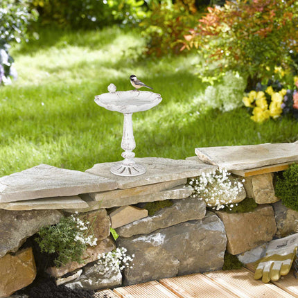 XL Bird bath in cast iron