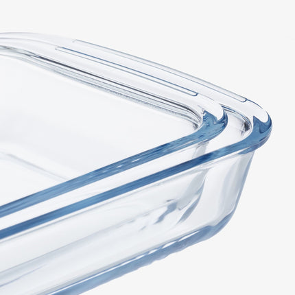 set of 2 glass coasters