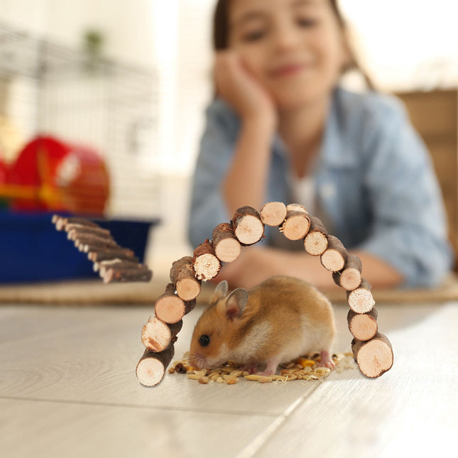 set of 2 wooden rodent bridges 2 sizes