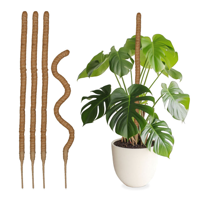 set of 5 coconut sticks 90 cm