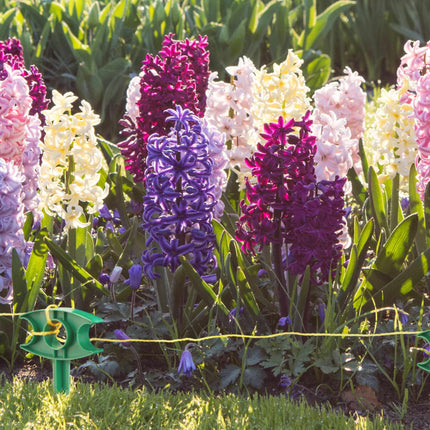 set of 6 sticks with planter line